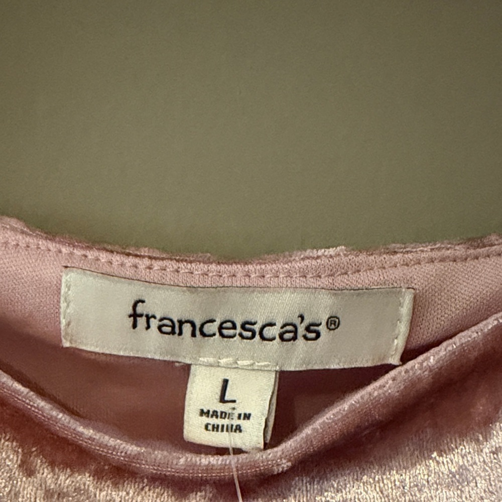 Francesca’s Velvet Bodysuit - Pink - Picture 4 of 9